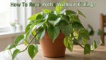 DIY Heat Pump Maintenance Tips to Save Money