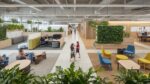Modern Australian workplace with activity based working zones collaborative spaces and biophilic design