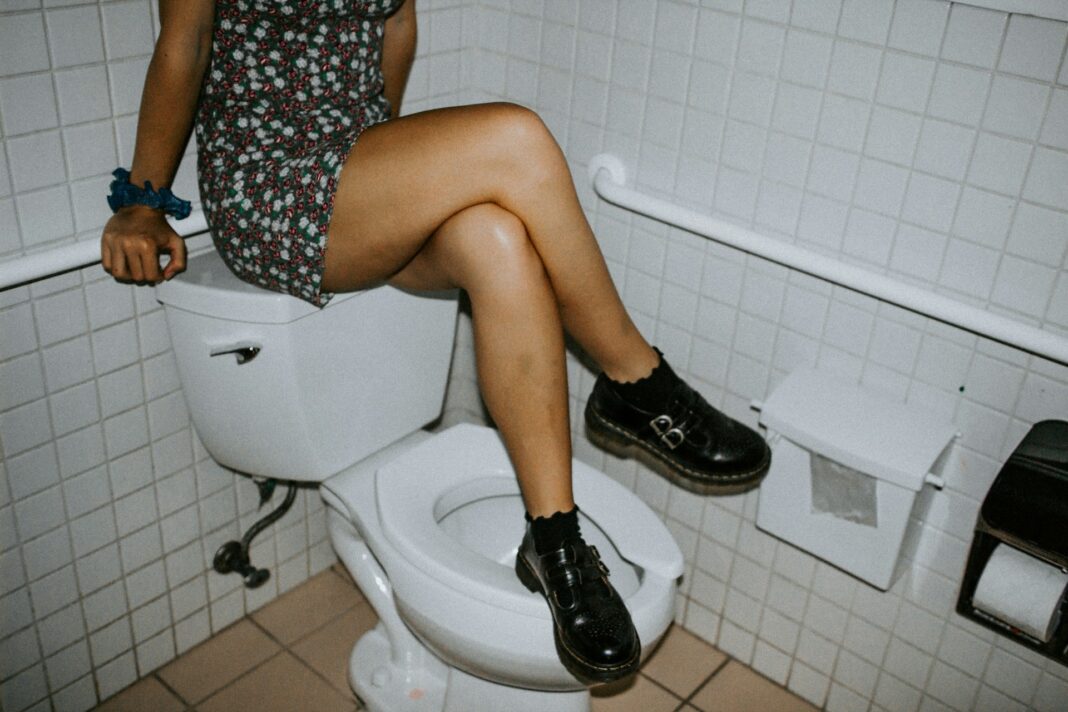 Raised Toilet Seat