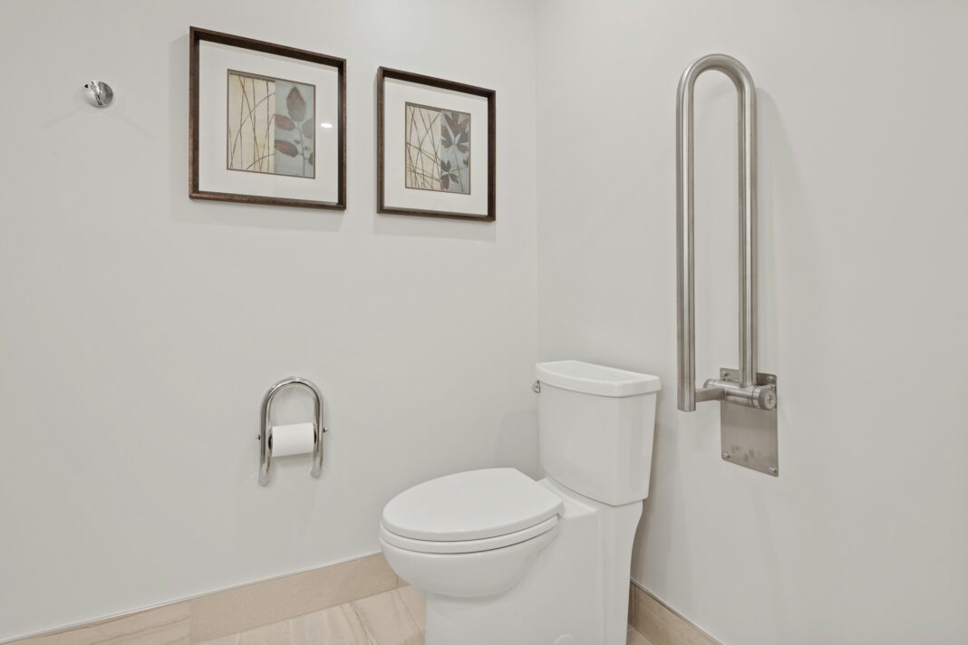 Raised Toilet Seat